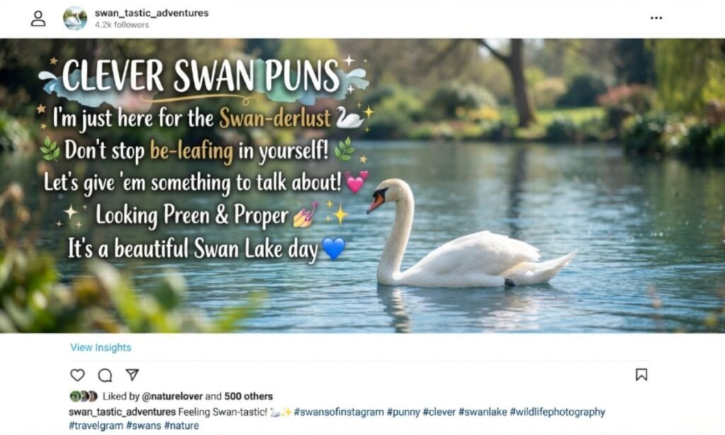 Clever Swan Puns for Instagram